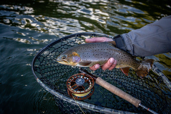 Lamson Fly Fishing Rods & Reels
