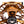Litespeed F by LAMSON