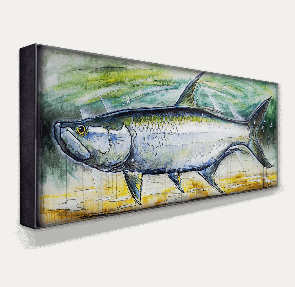 Ed Anderson Patagonia Tarpon Metal Box Art