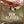Backcountry Flights Metal Sign