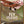 Backcountry Flights Metal Sign