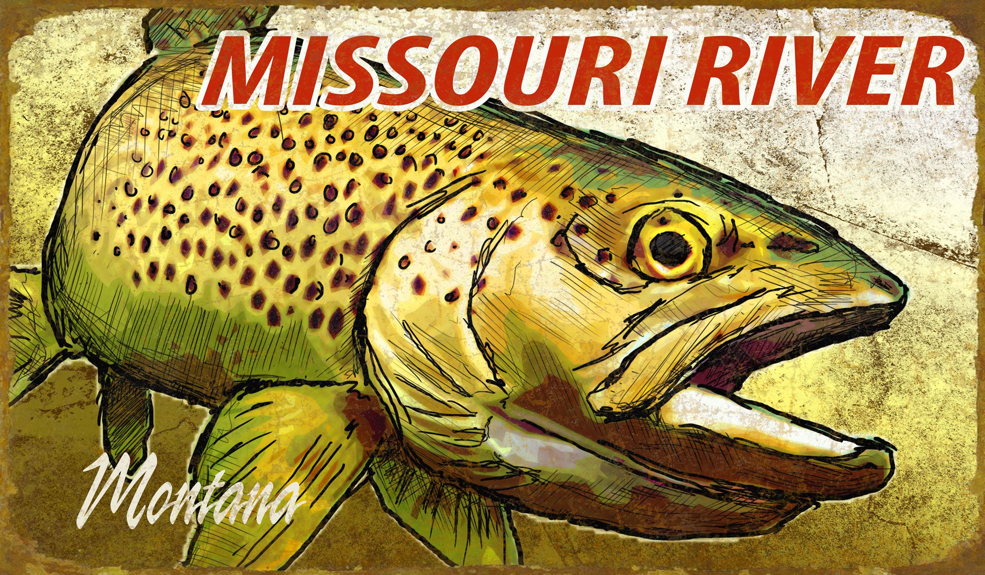 Brown Trout Metal Sign